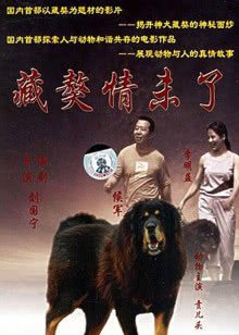 黛玉传